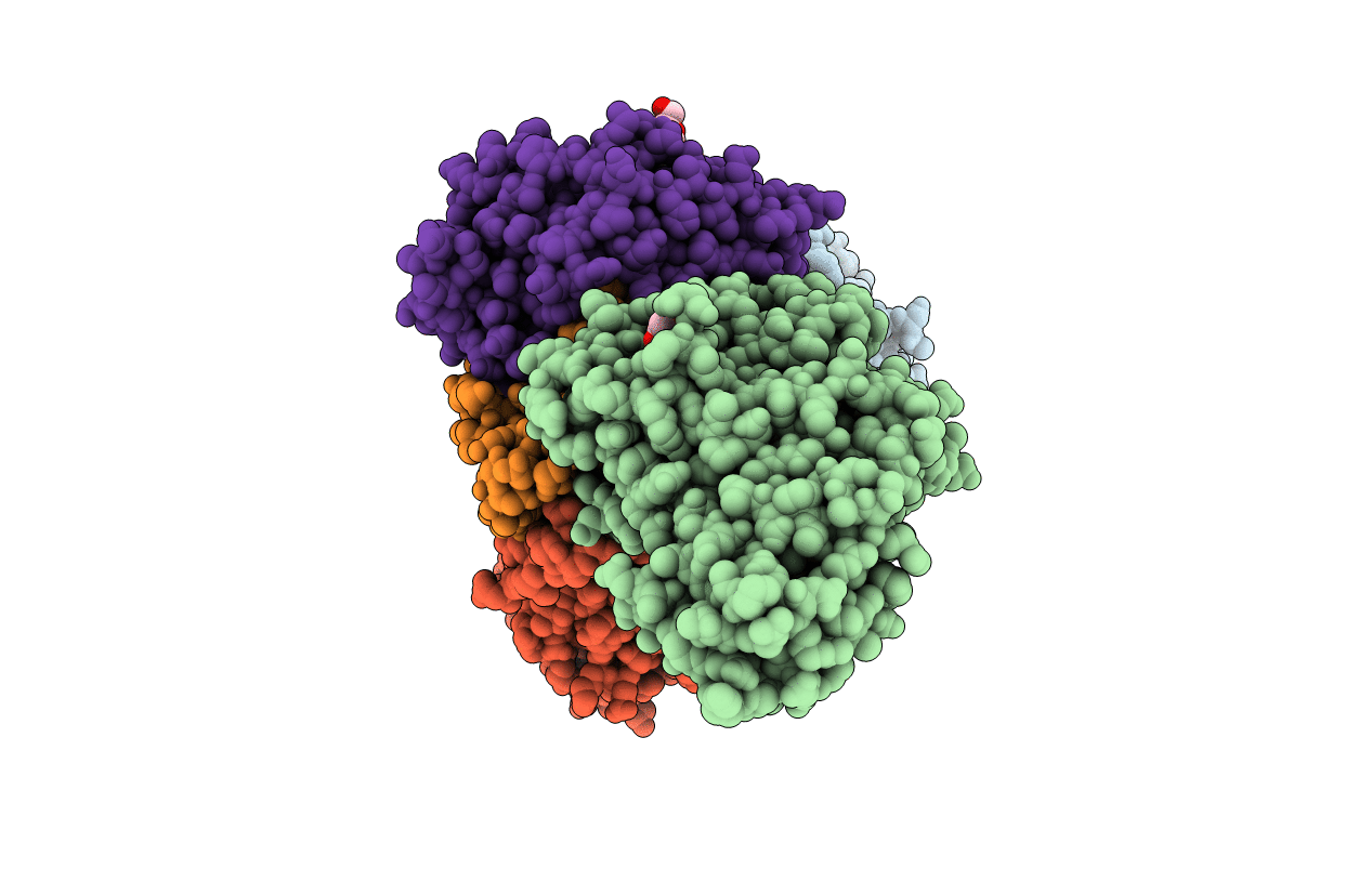 3SWS image