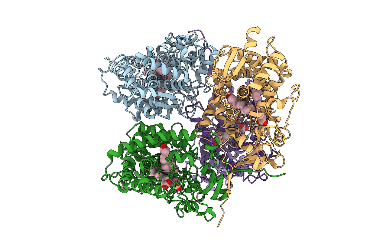 3SWZ image