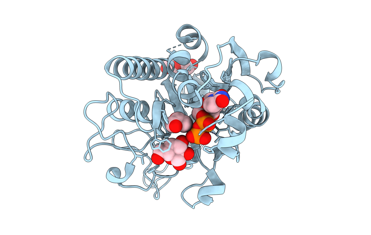 3SXA image