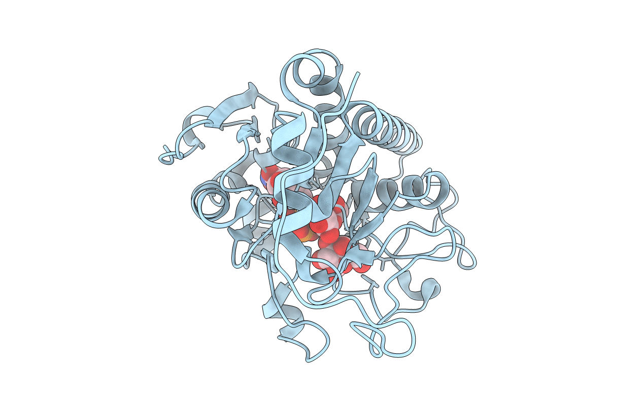 3SXE image