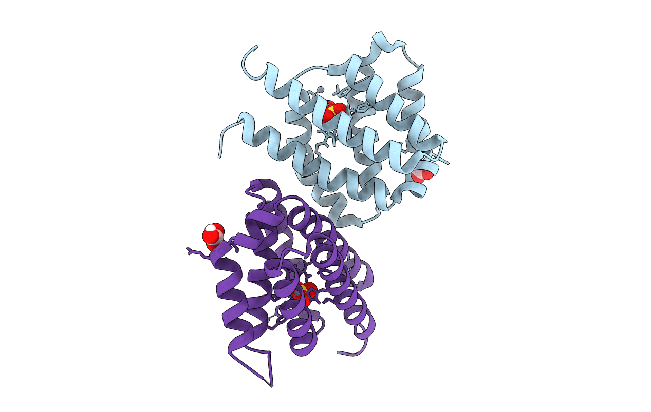 3SXK image
