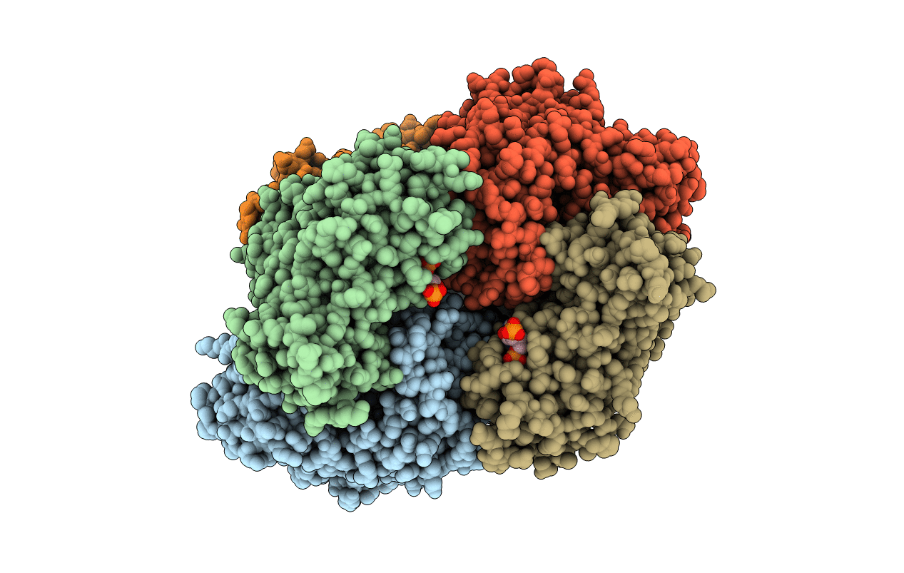 3SXN image