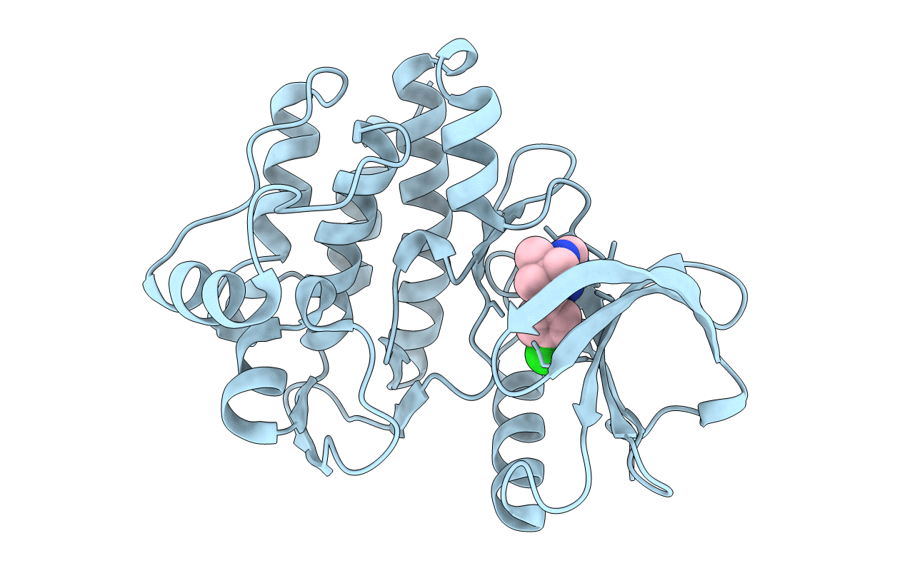3SXS image
