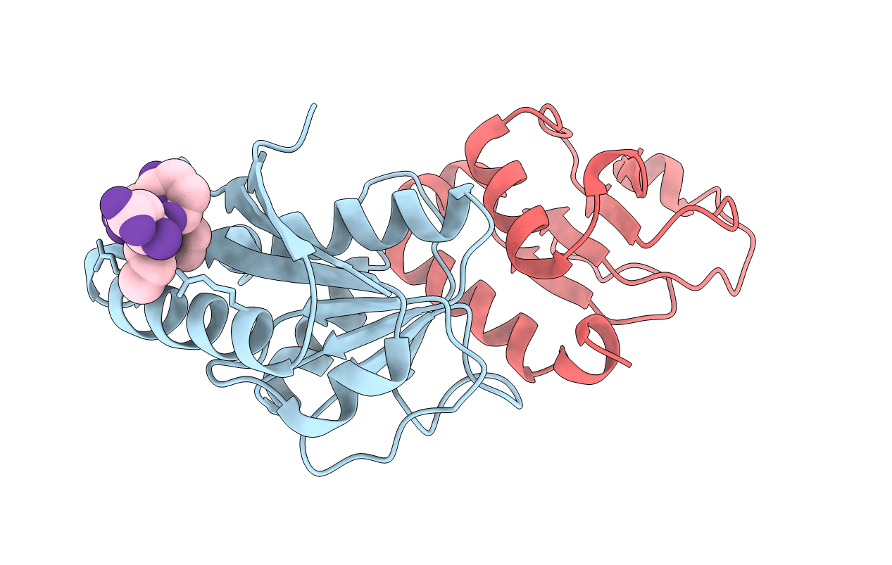 3SXU image