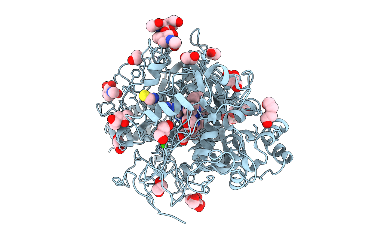 3SXV image