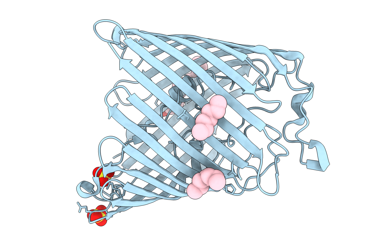 3SYB image
