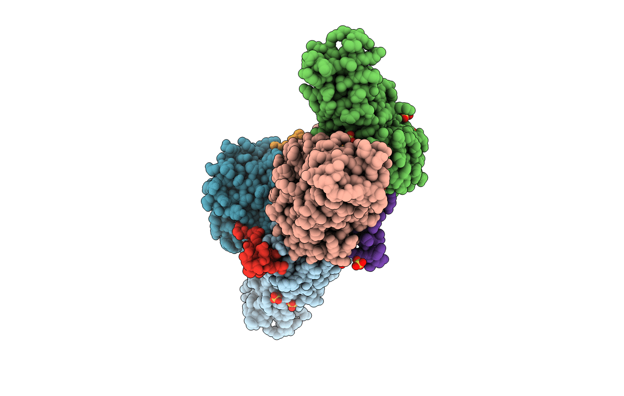 3SYN image