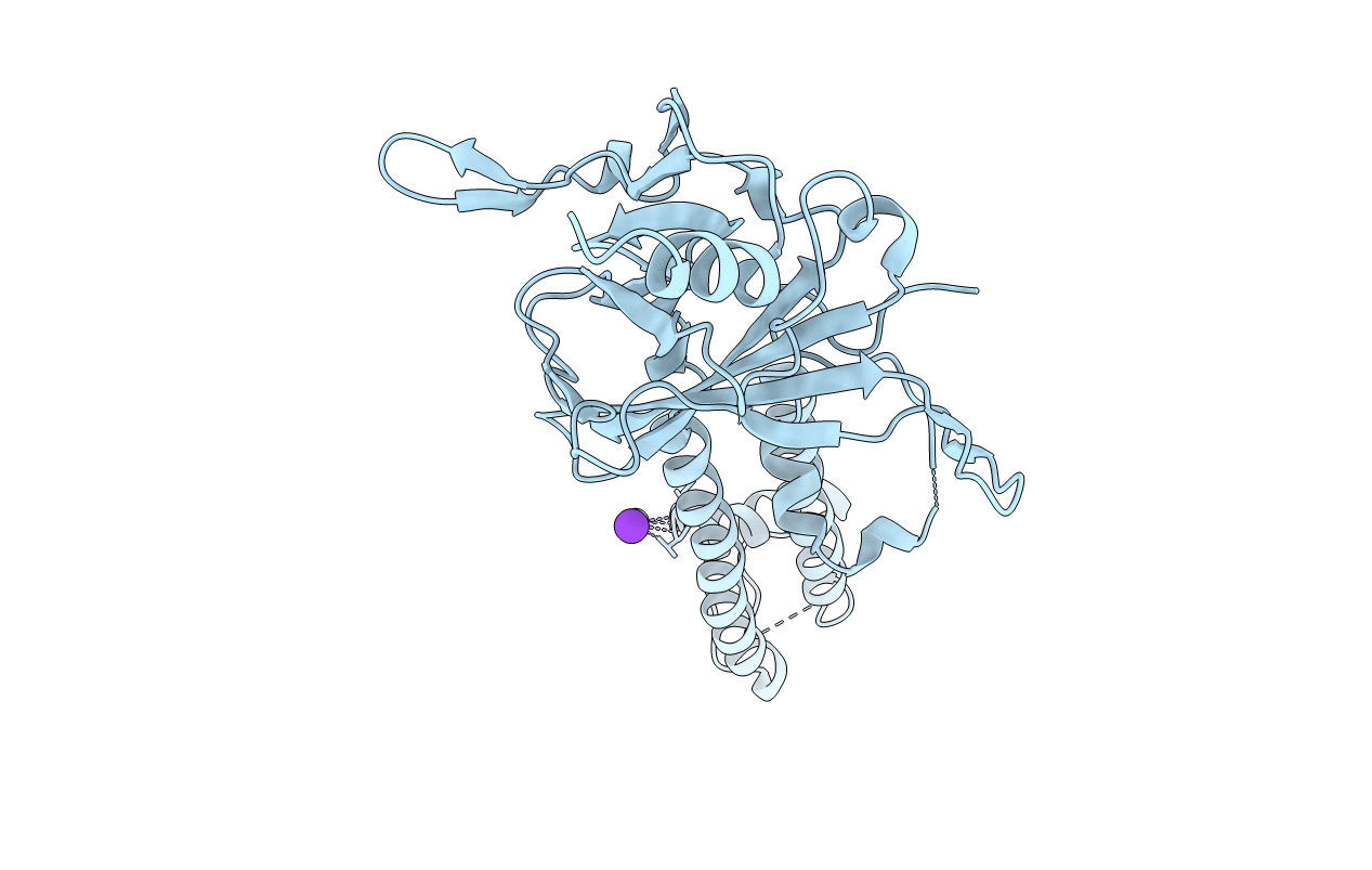 3SYP image