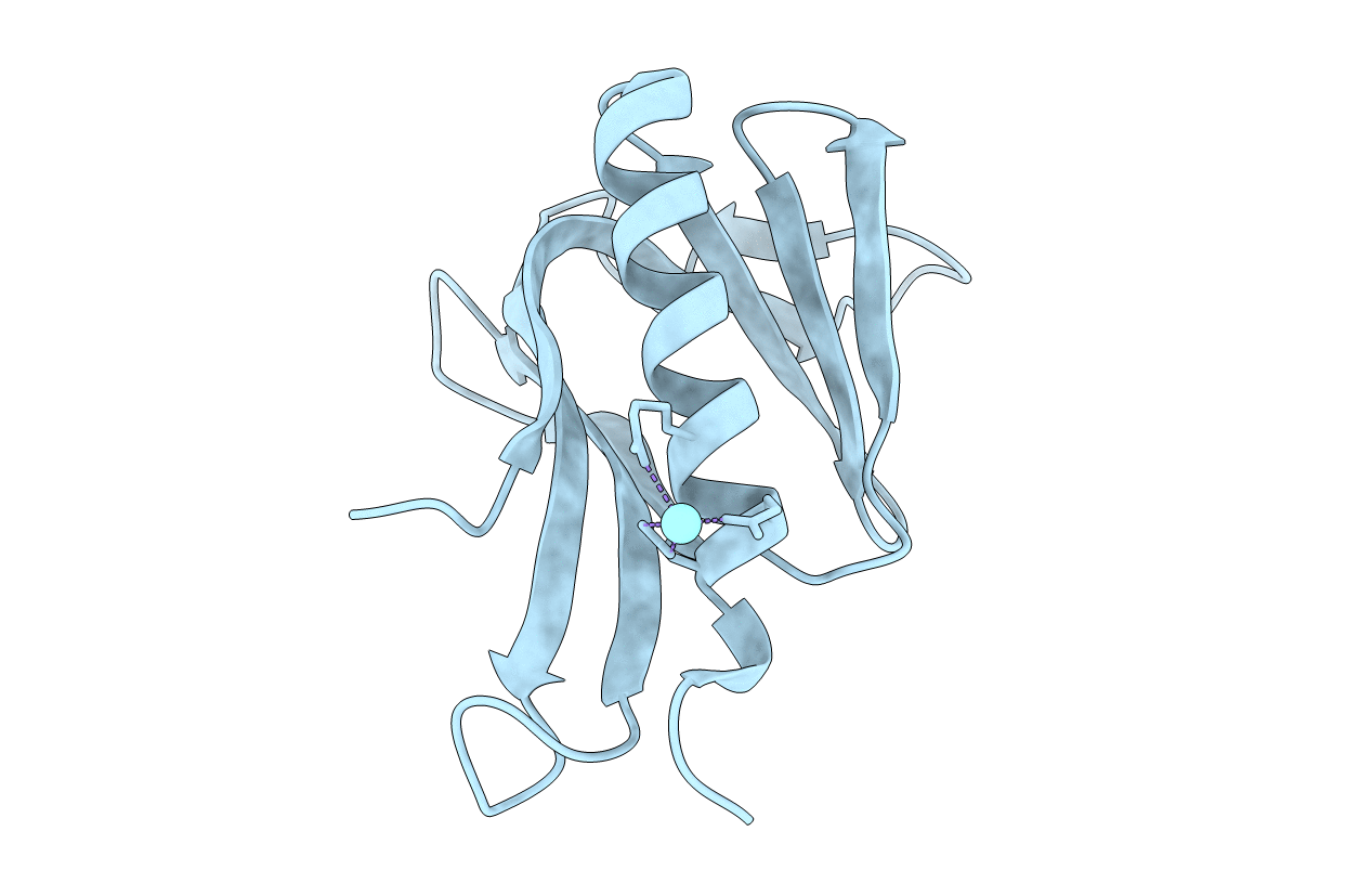 3SYX image