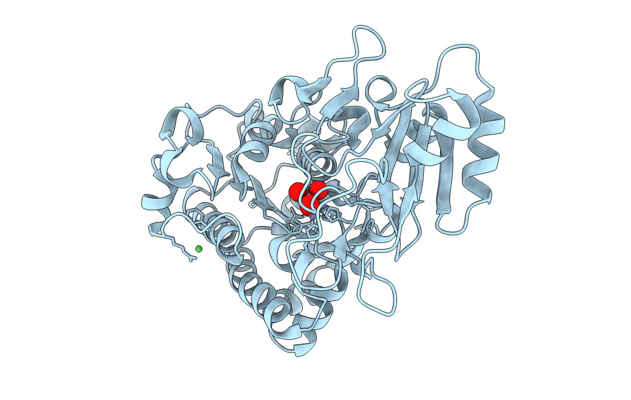 3T00 image