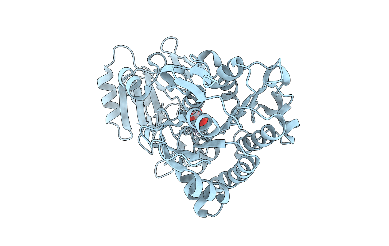 3T01 image