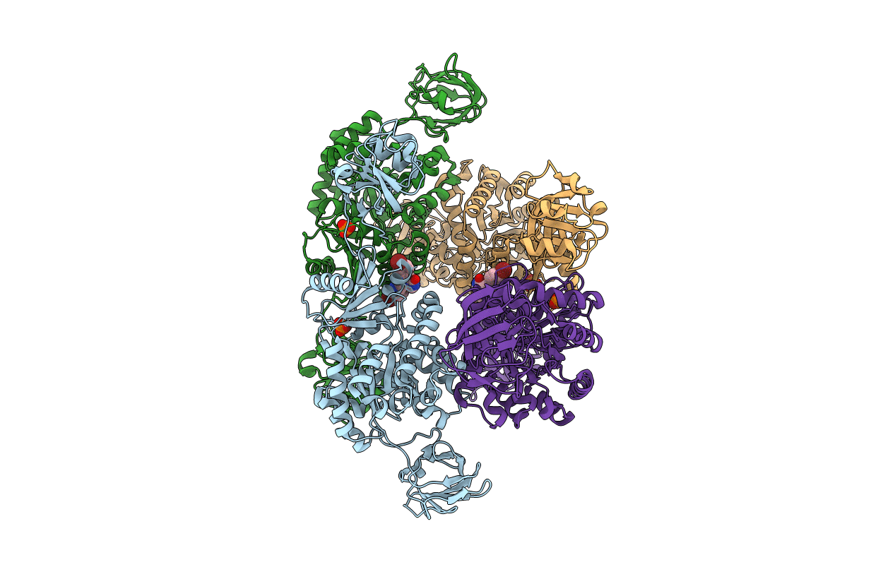 3T07 image