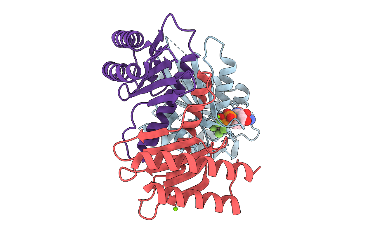 3T12 image