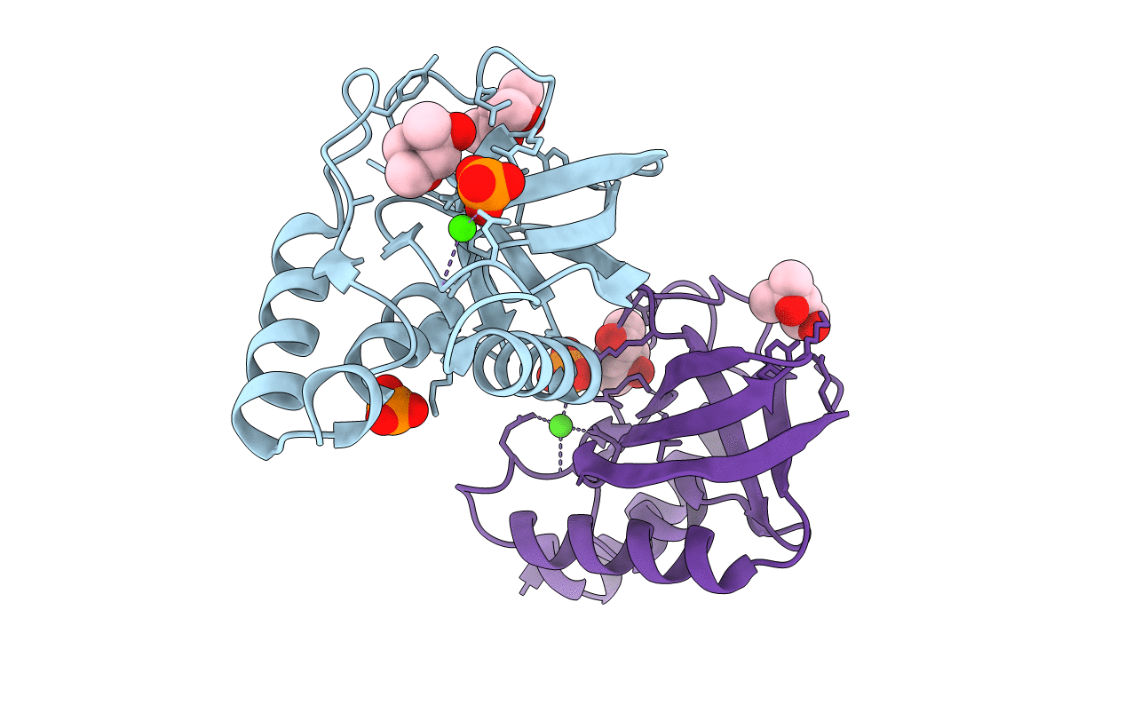 3T13 image