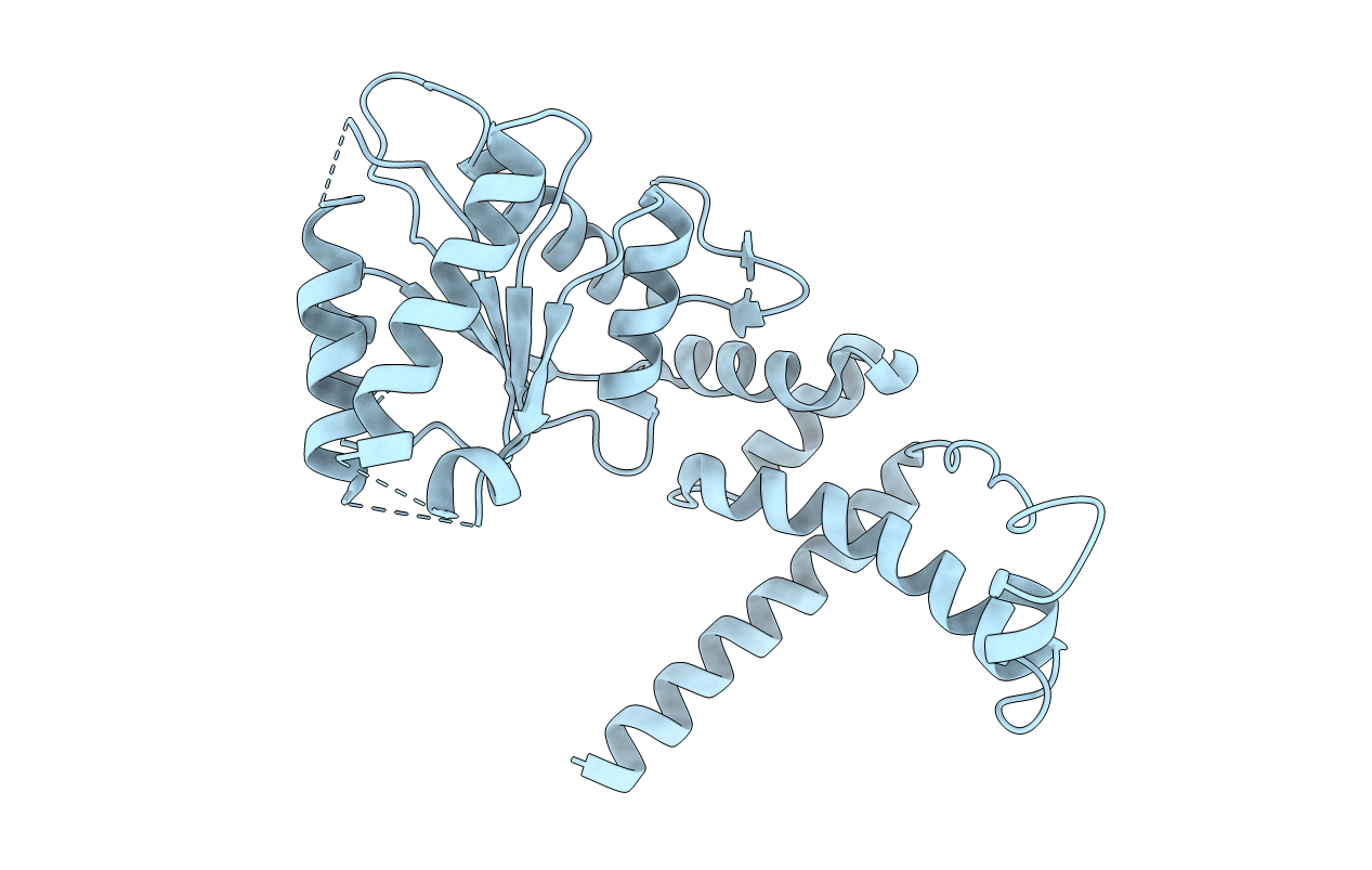 3T15 image