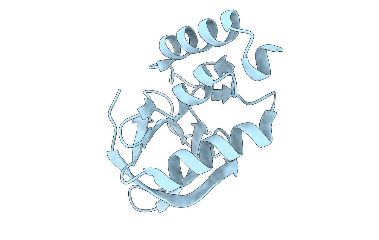 3T16 image