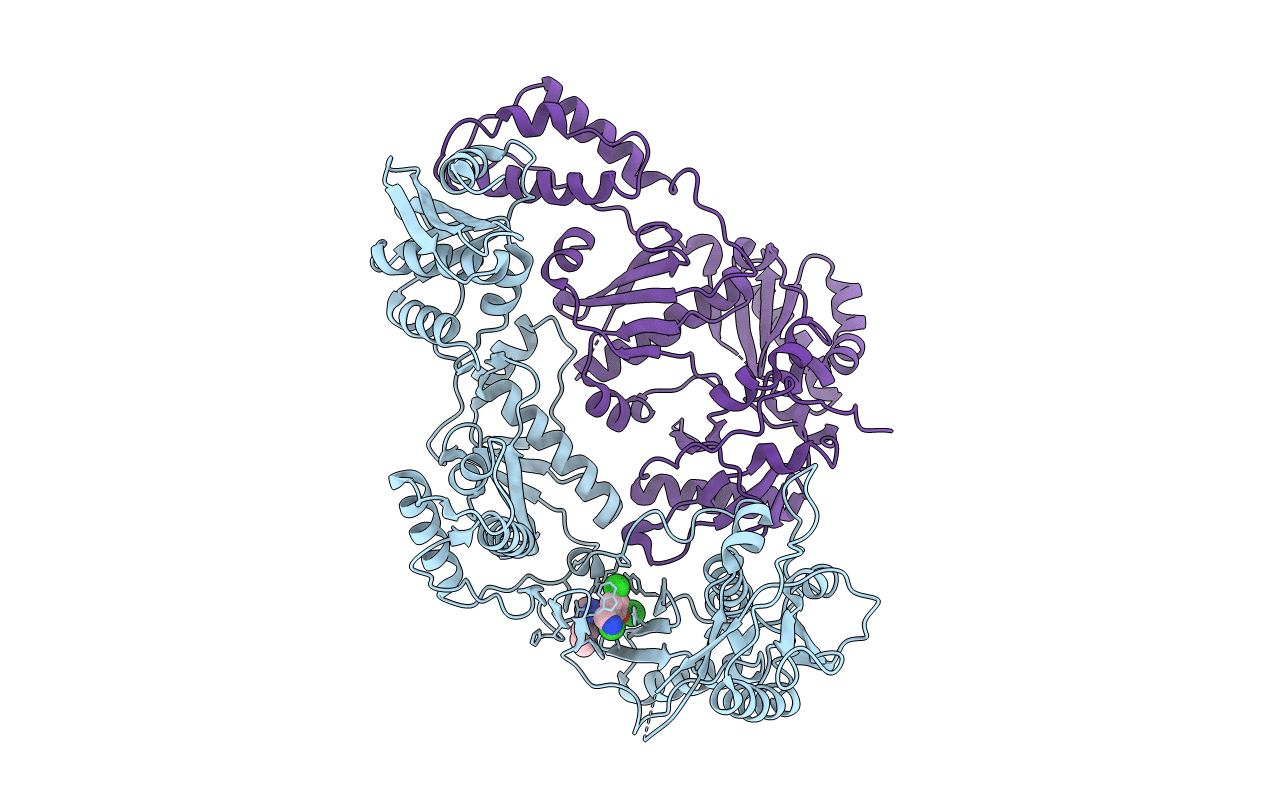 3T1A image