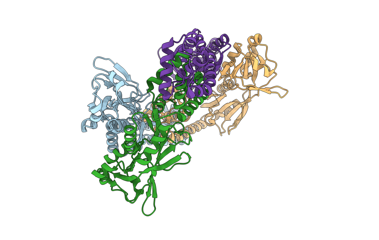 3T1B image