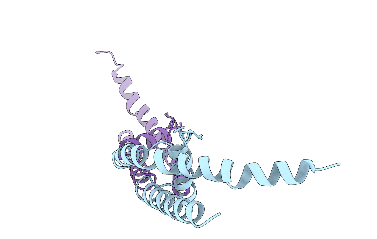 3T1C image