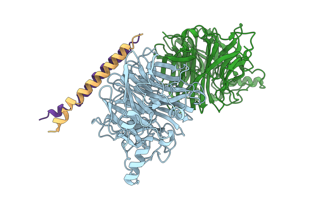 3T1E image