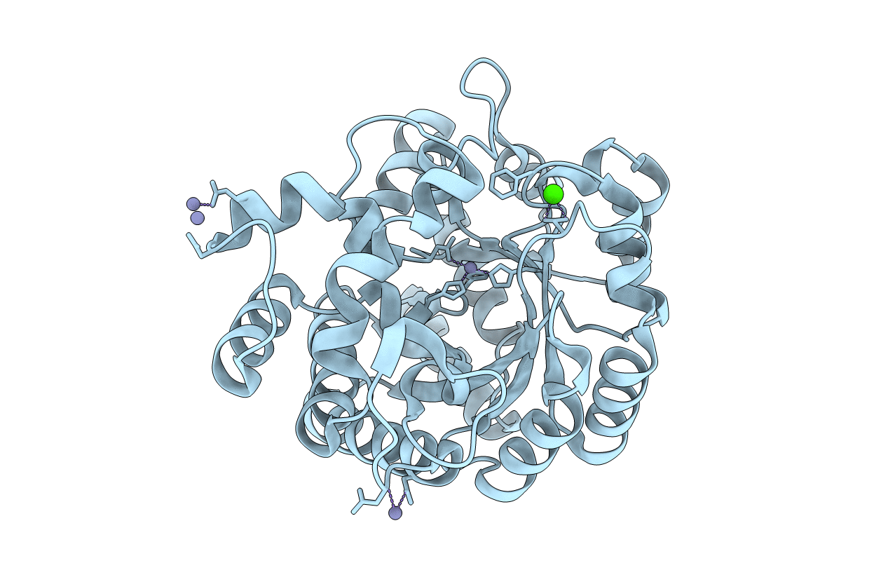 3T1G image