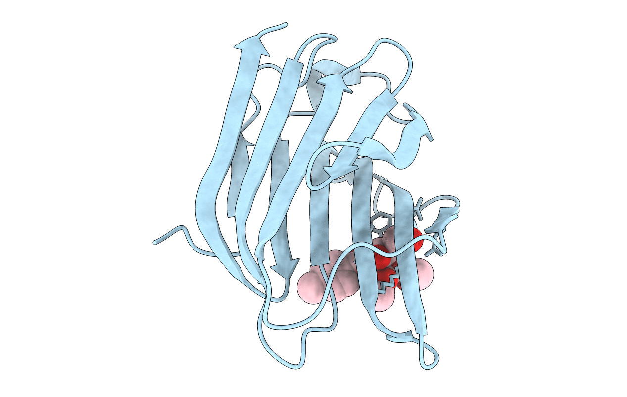 3T1L image