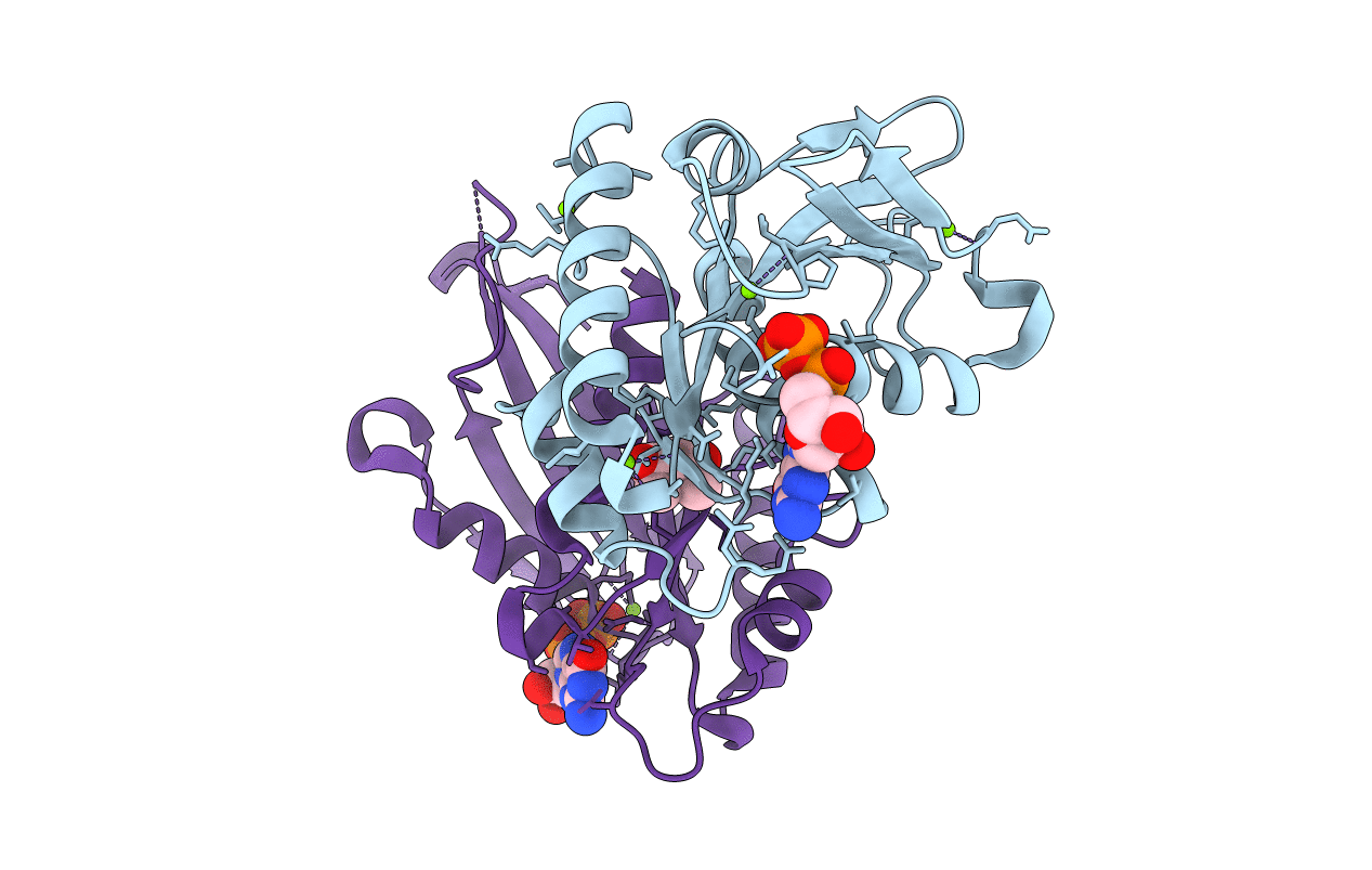 3T1O image