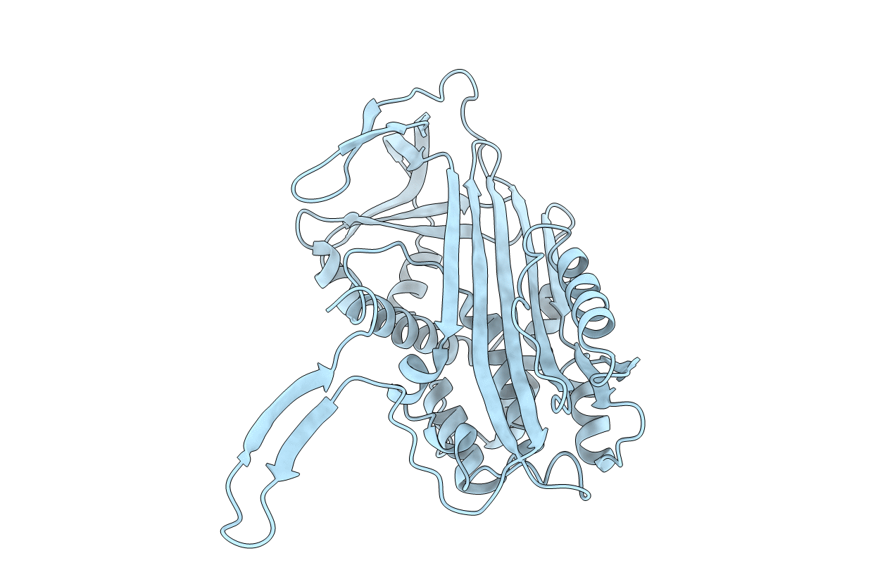 3T1P image
