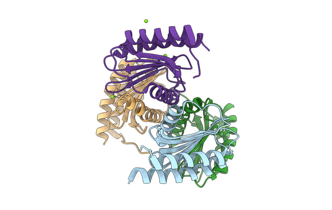 3T1R image