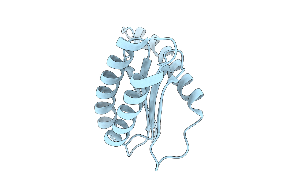 3T1S image