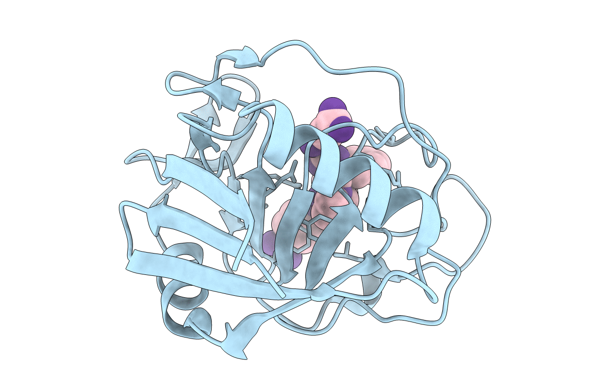 3T1U image