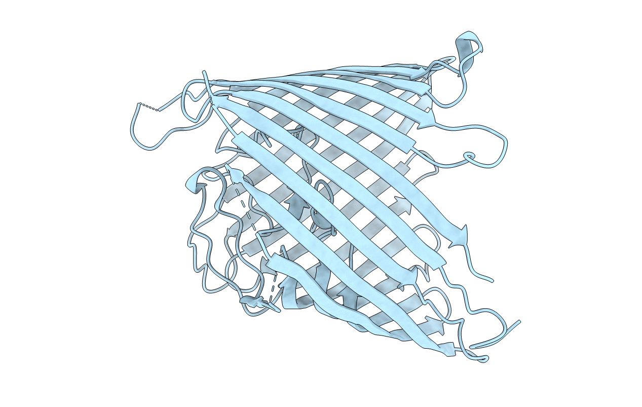 3T20 image