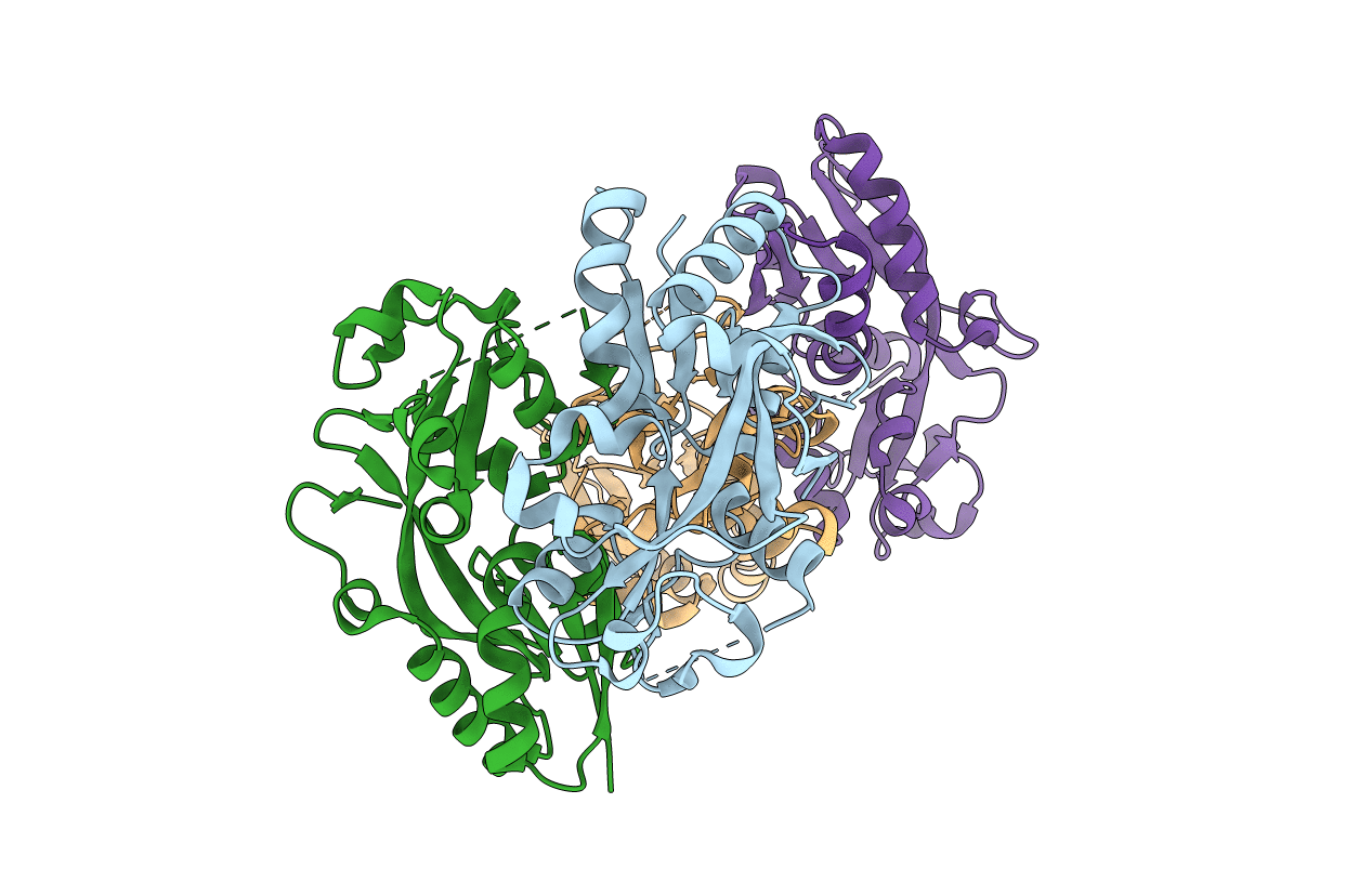 3T22 image