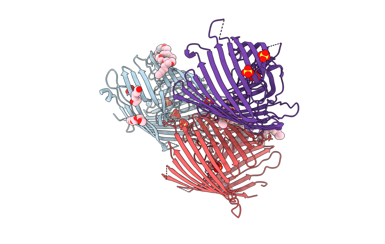 3T24 image