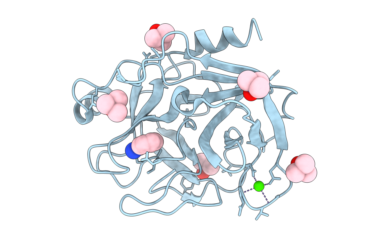 3T28 image