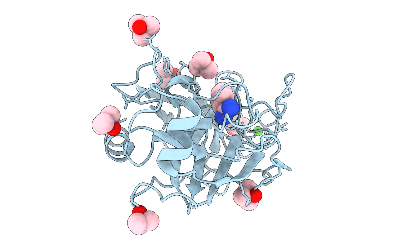 3T29 image
