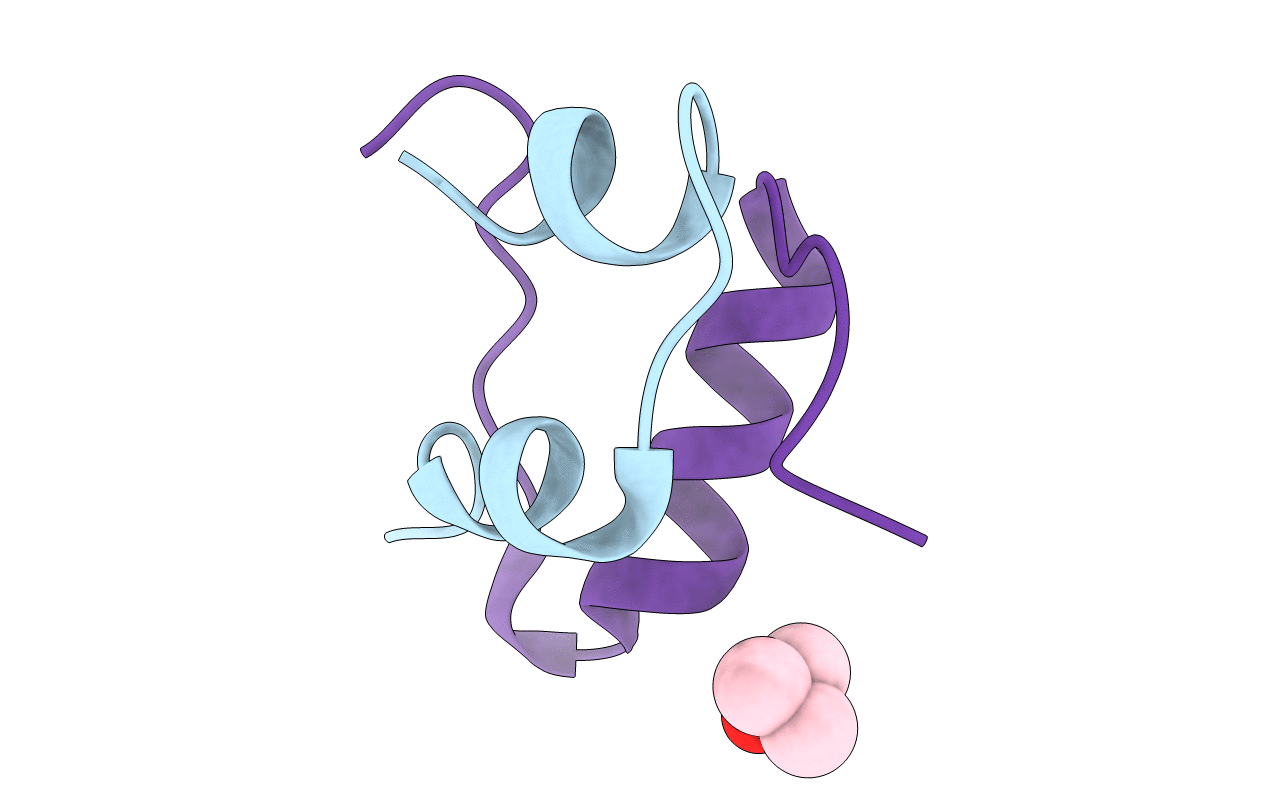 3T2A image