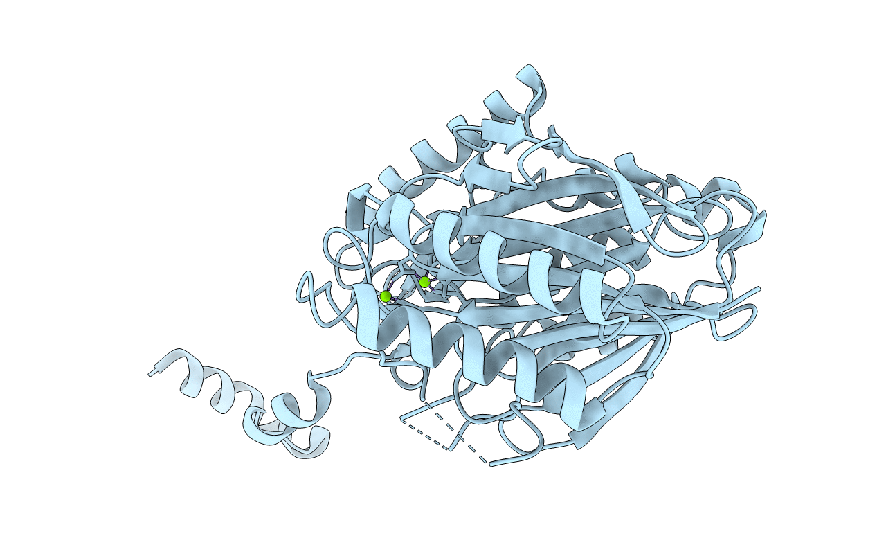 3T2B image