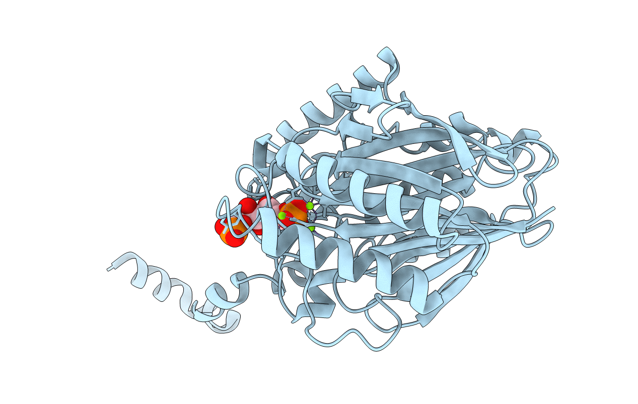 3T2C image