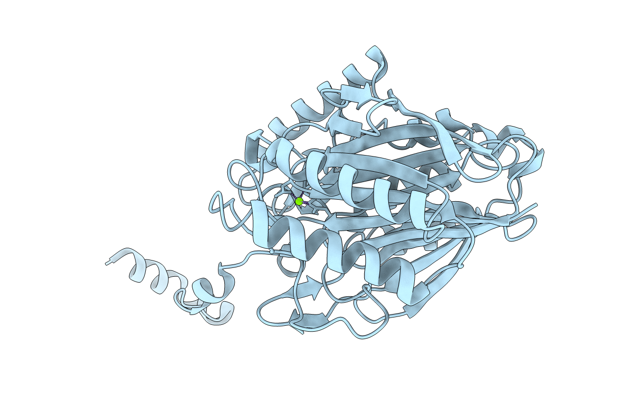 3T2F image