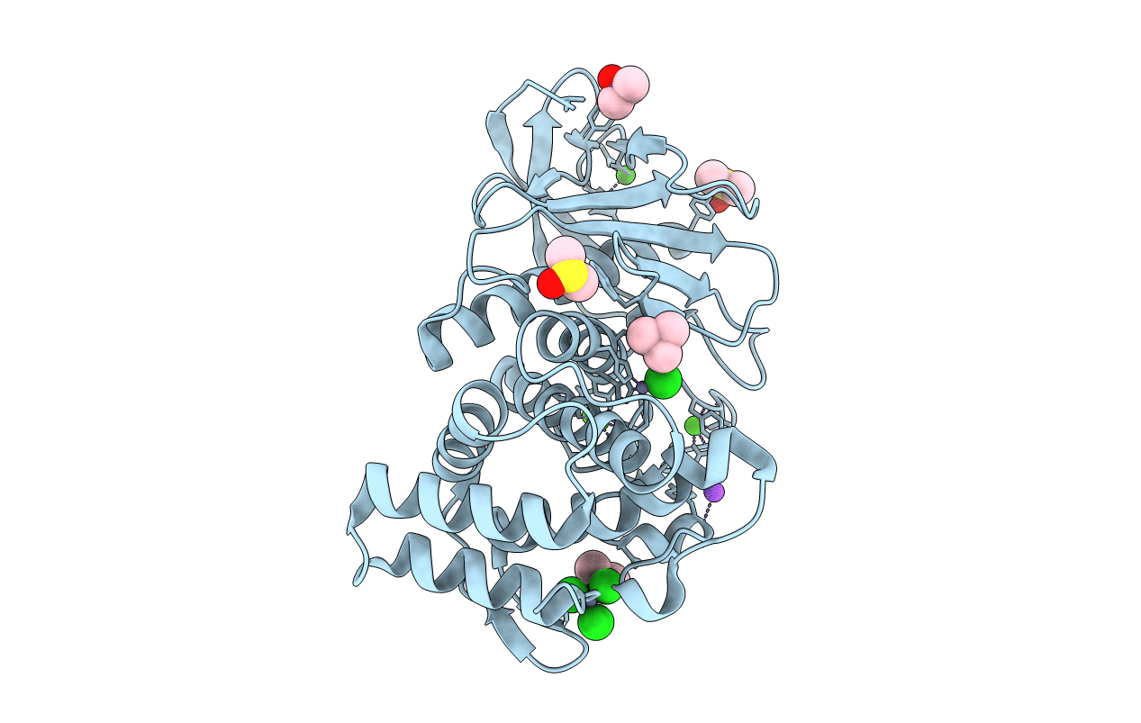 3T2H image