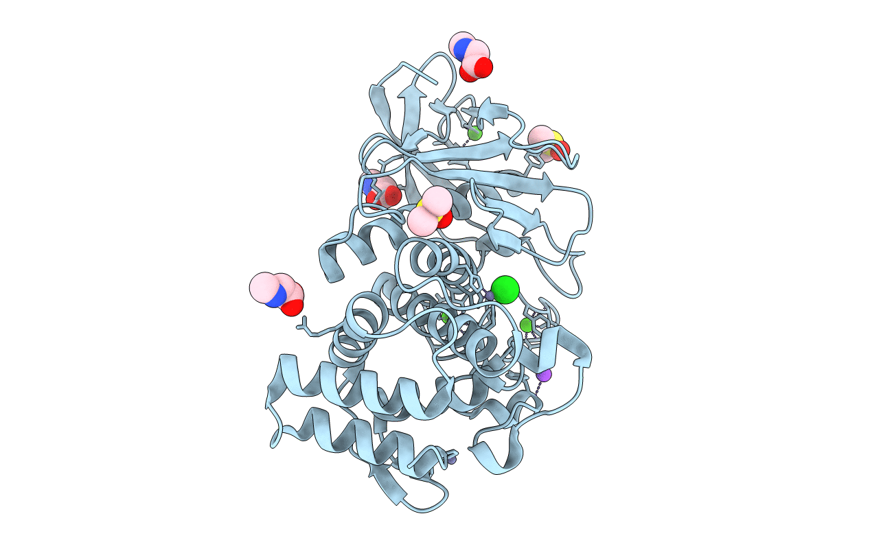 3T2I image