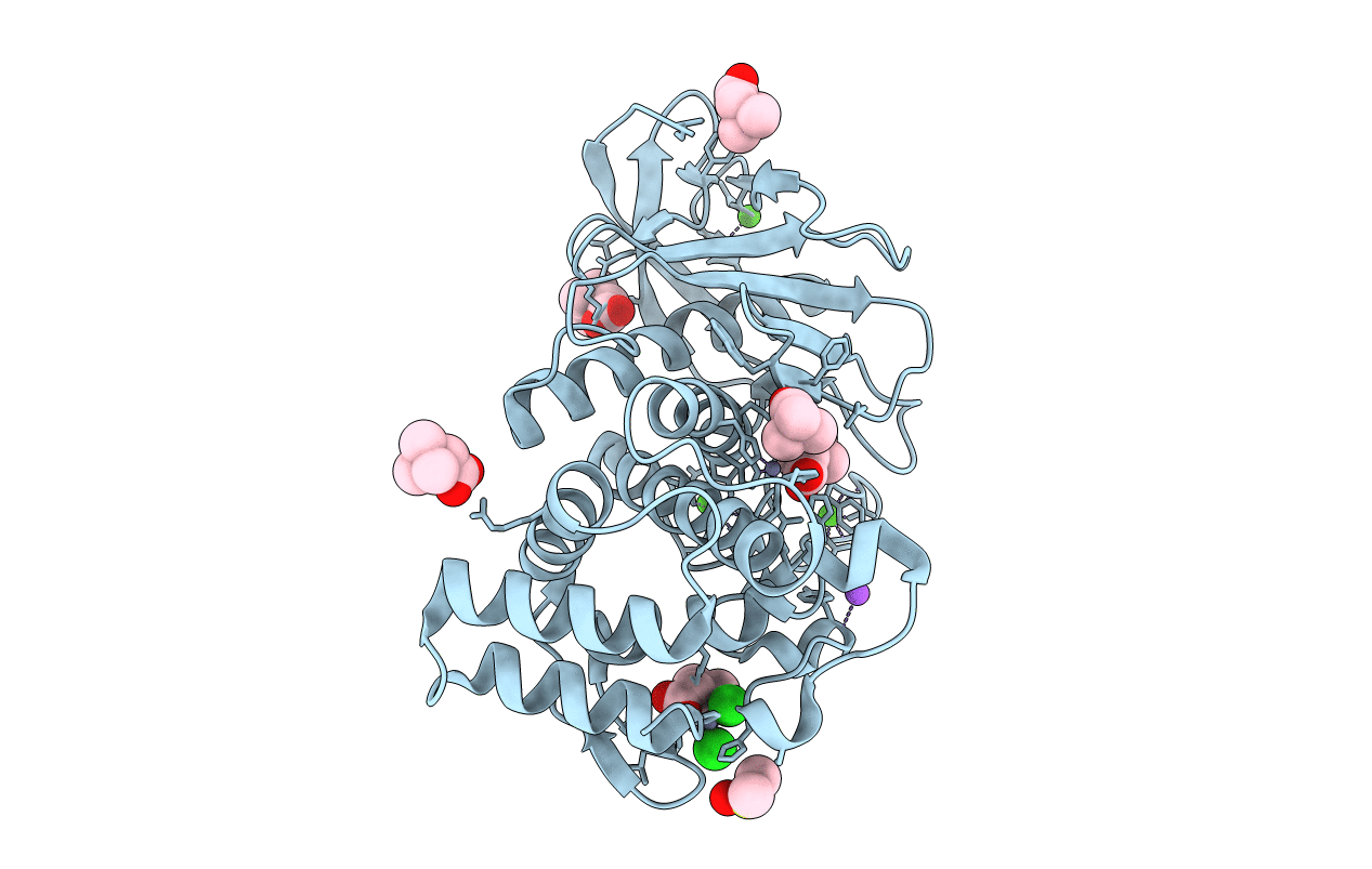 3T2J image