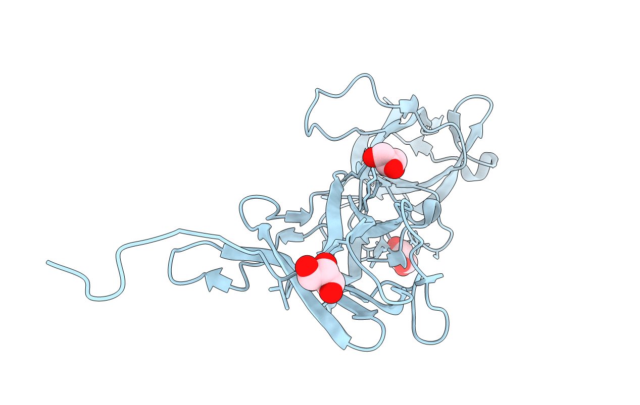 3T2L image