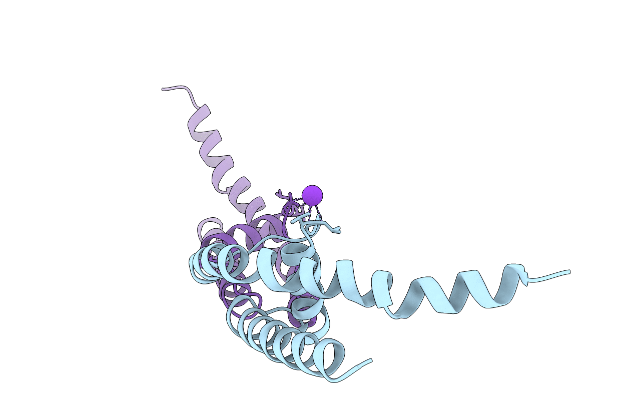 3T2M image