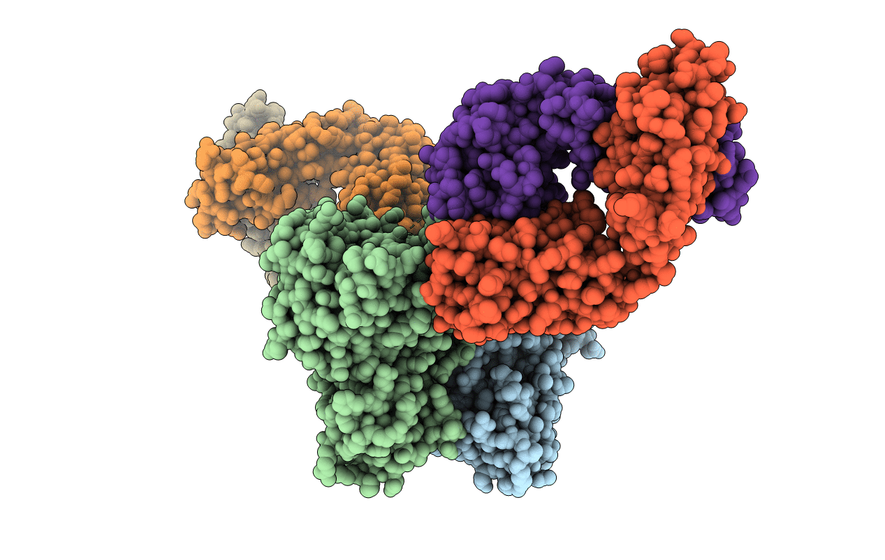 3T2N image