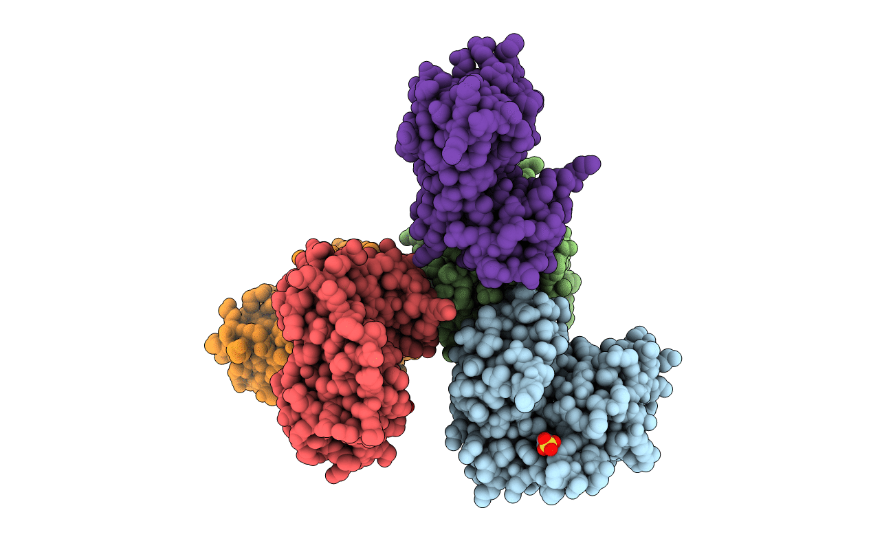 3T36 image