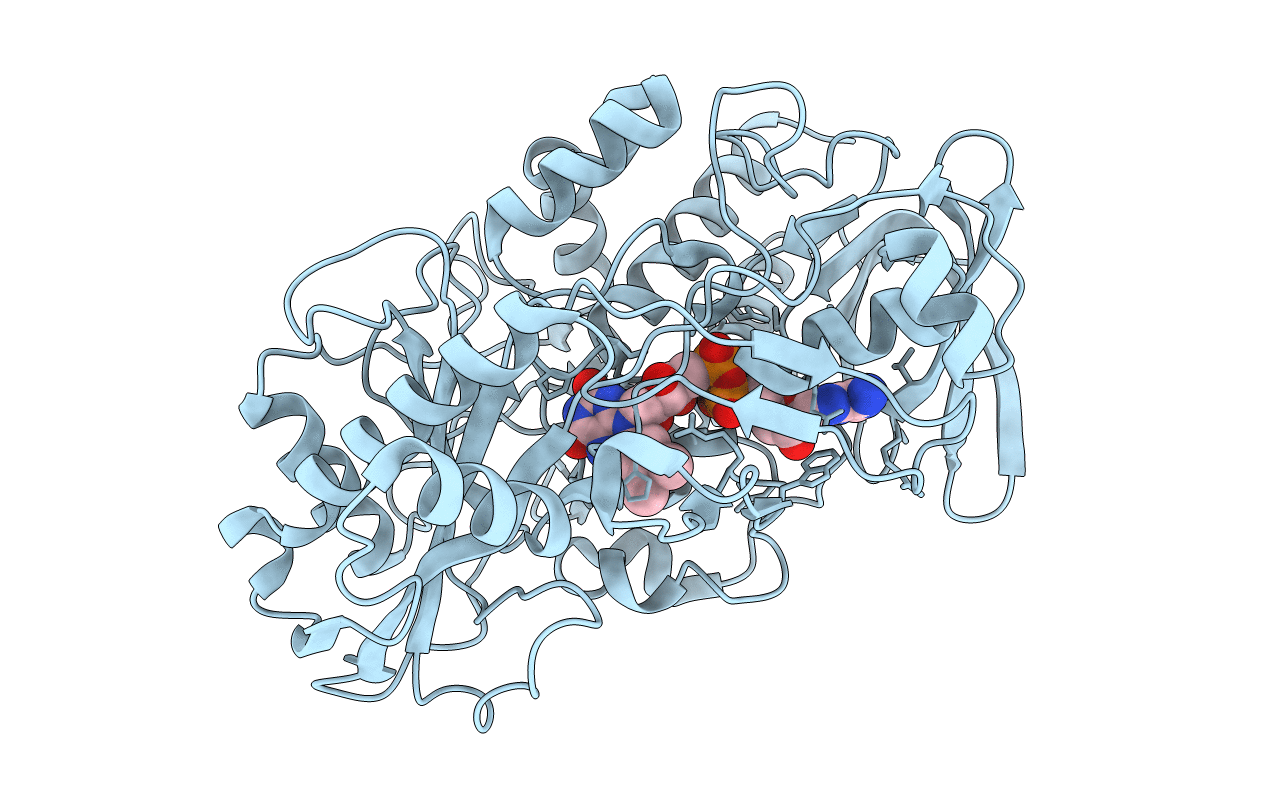 3T37 image