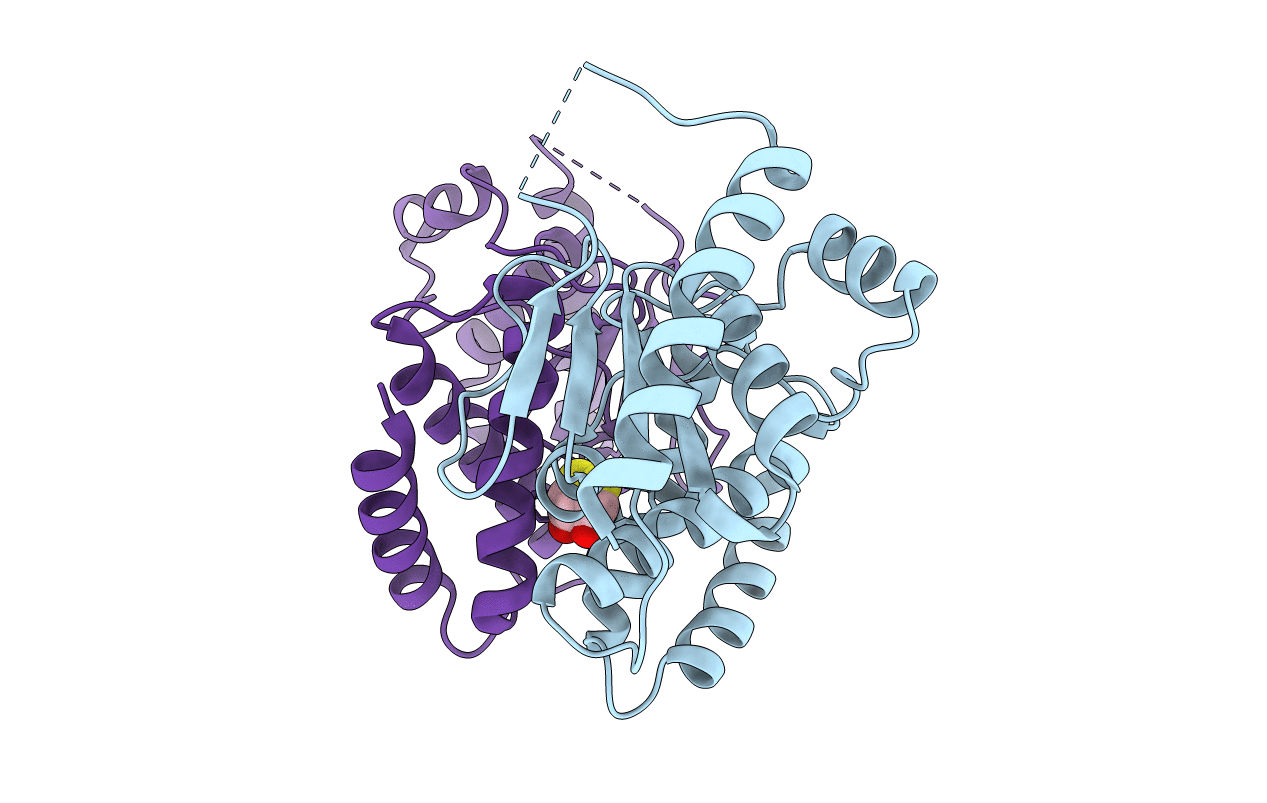 3T38 image