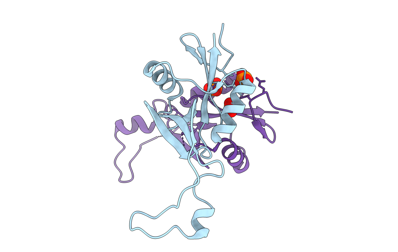3T3A image